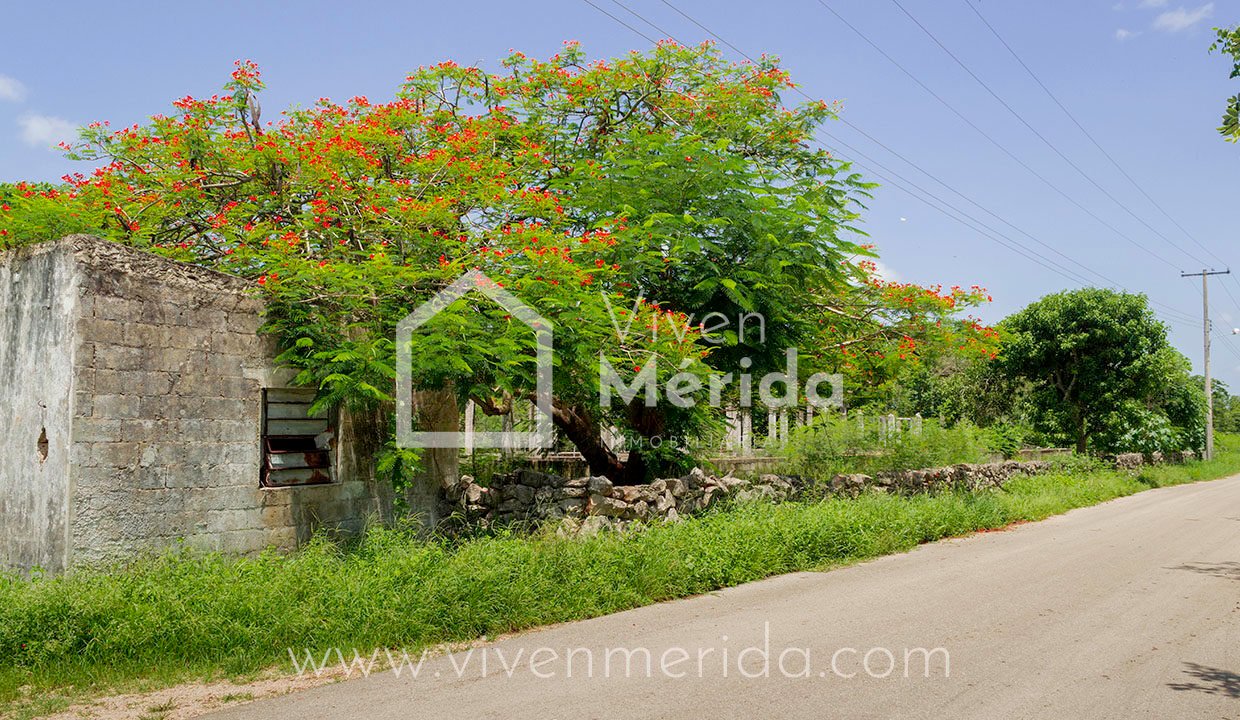 terreno-en-venta-en-tetiz-yucatan (1)