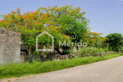 terreno-en-venta-en-tetiz-yucatan (1)
