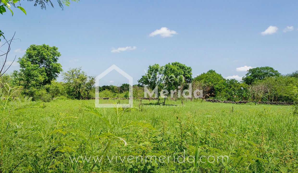 terreno-en-venta-en-tetiz-yucatan (4)