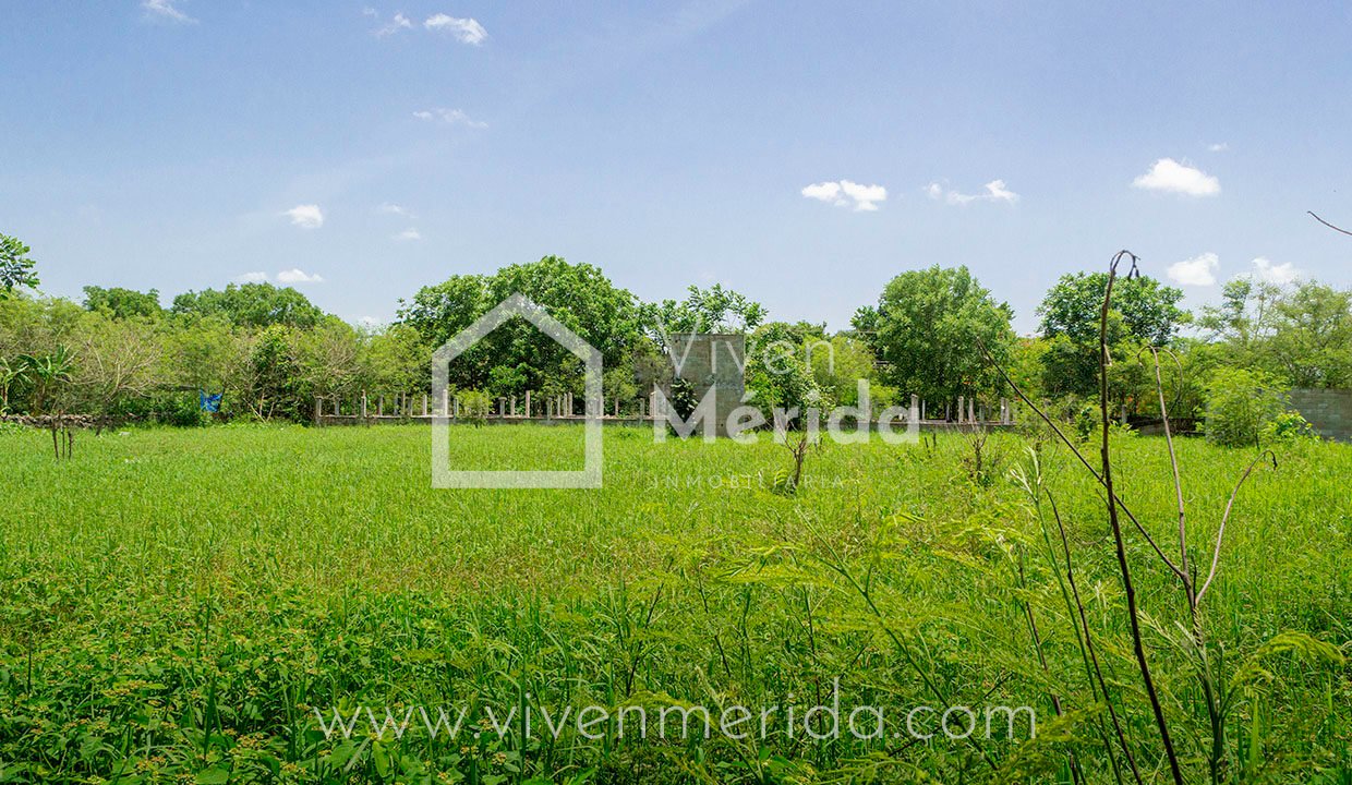 terreno-en-venta-en-tetiz-yucatan (5)