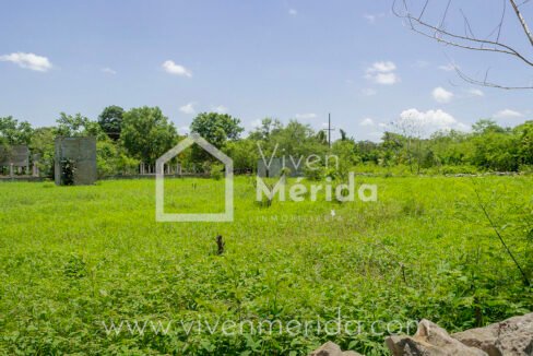 terreno-en-venta-en-tetiz-yucatan (6)