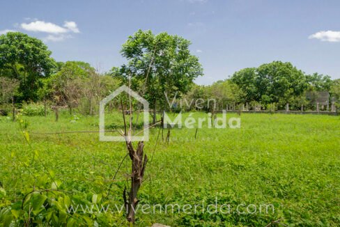 terreno-en-venta-en-tetiz-yucatan (7)