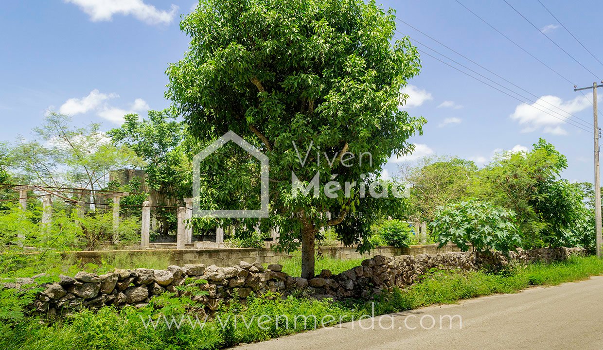 terreno-en-venta-en-tetiz-yucatan (9)