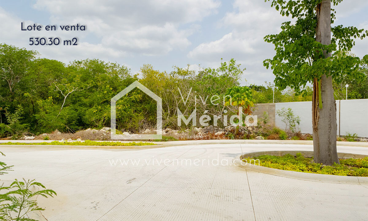 airepuro-privada-residencial-al-norte-de-merida (39)