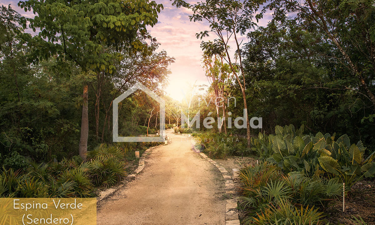 cabo-norte-merida-yucatan (17)