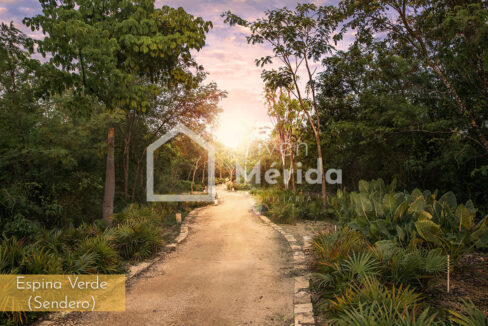 cabo-norte-merida-yucatan (17)