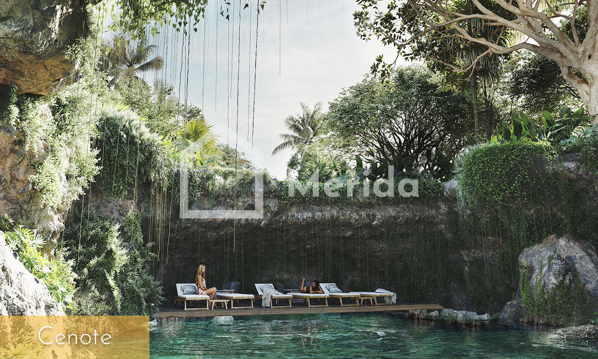 primaselva-cabo-norte-merida-yucatan (12)