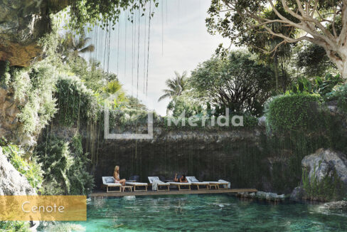 primaselva-cabo-norte-merida-yucatan (12)