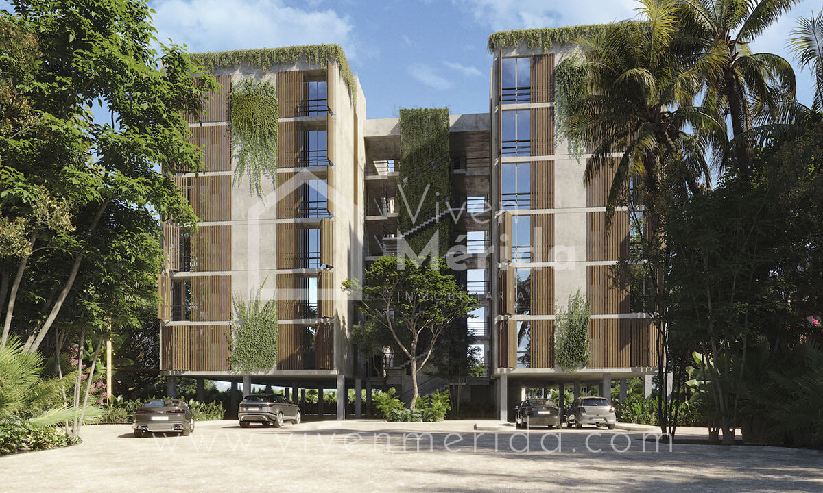 primaselva-cabo-norte-merida-yucatan (2)