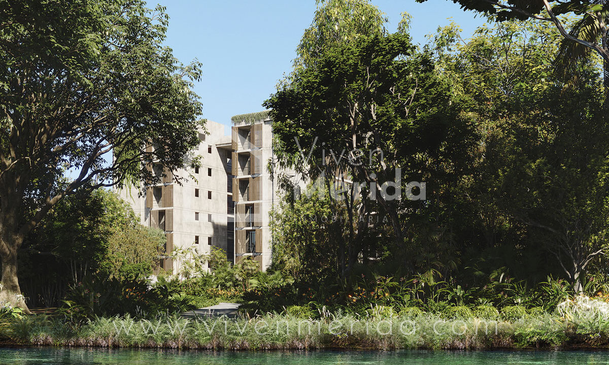 primaselva-cabo-norte-merida-yucatan (3)