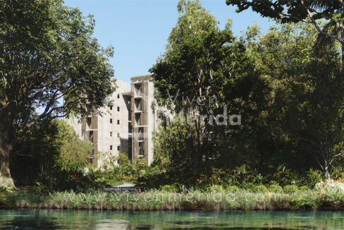 primaselva-cabo-norte-merida-yucatan (3)