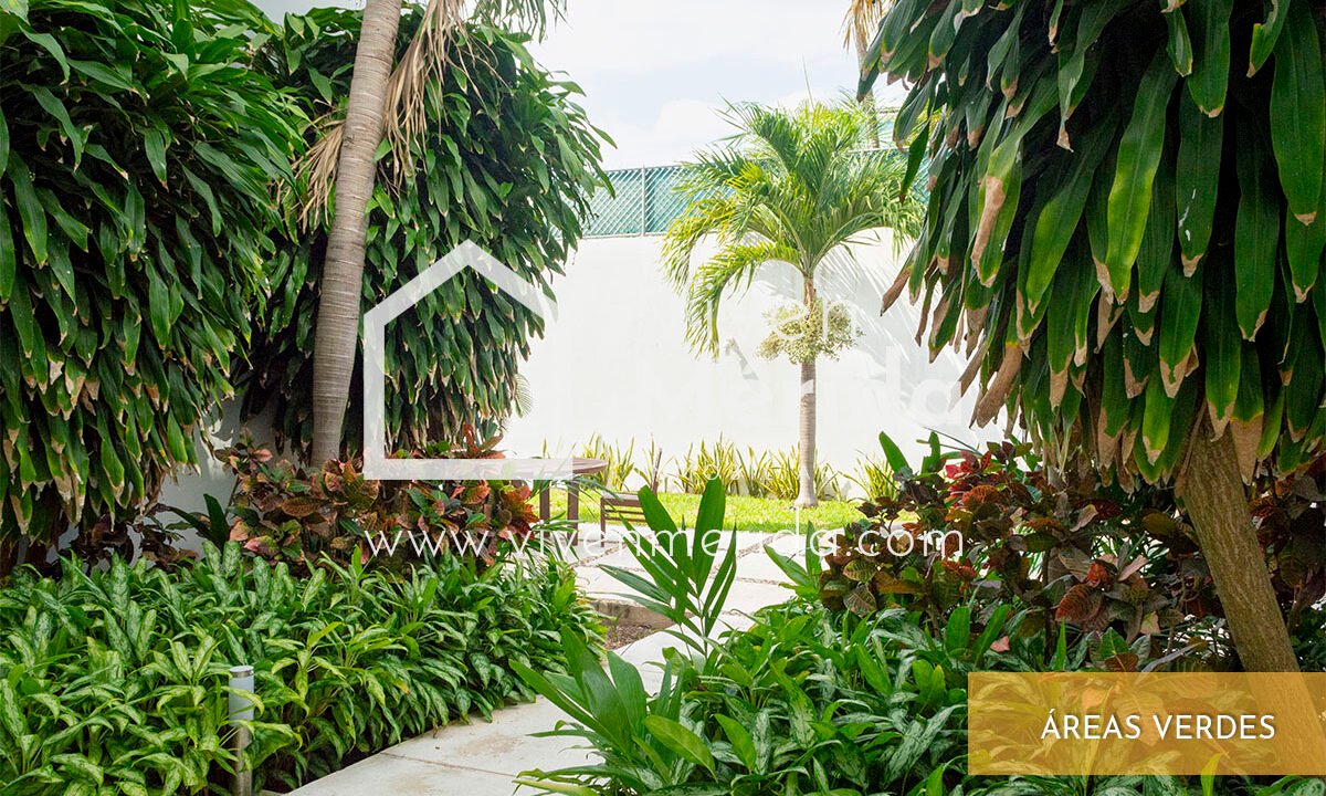 departamento-en-renta-montecristo-merida (3)