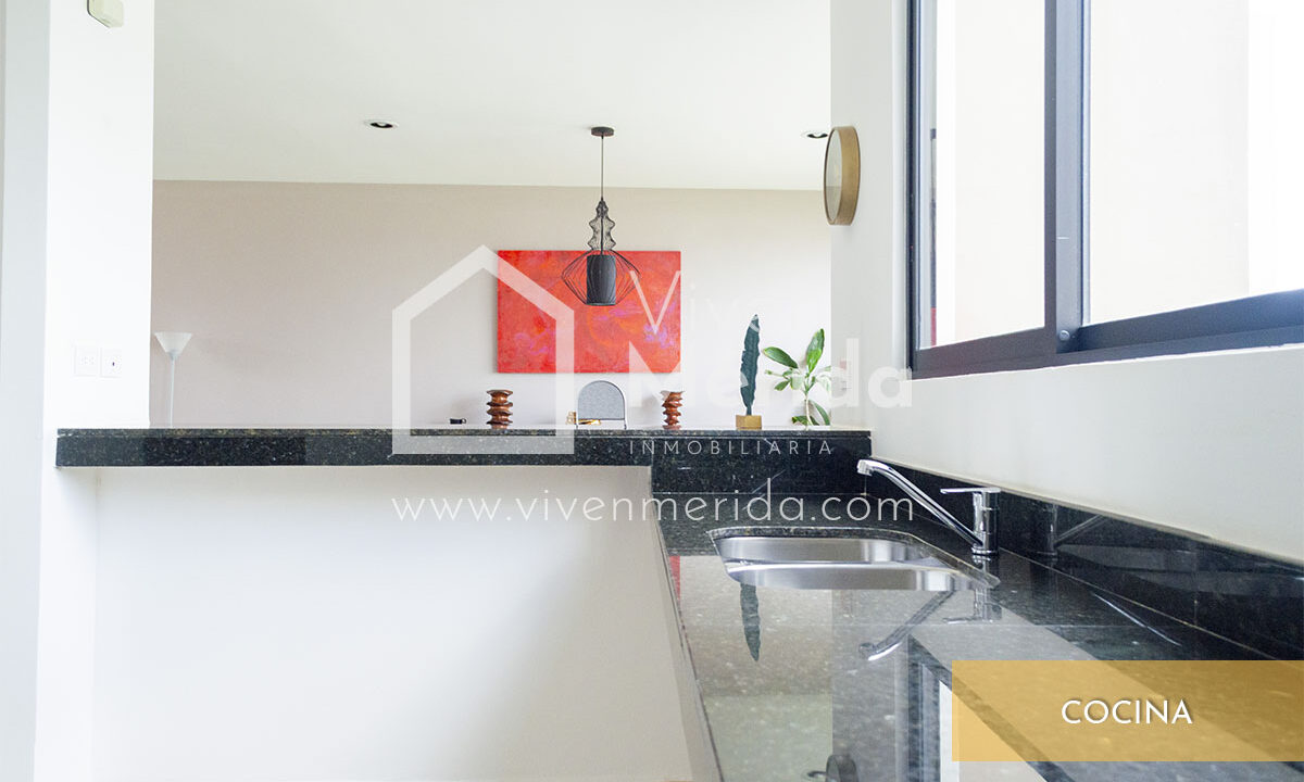 casa-dome-en-venta-cumbres-de-novorte (4)