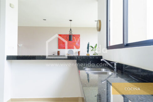 casa-dome-en-venta-cumbres-de-novorte (4)