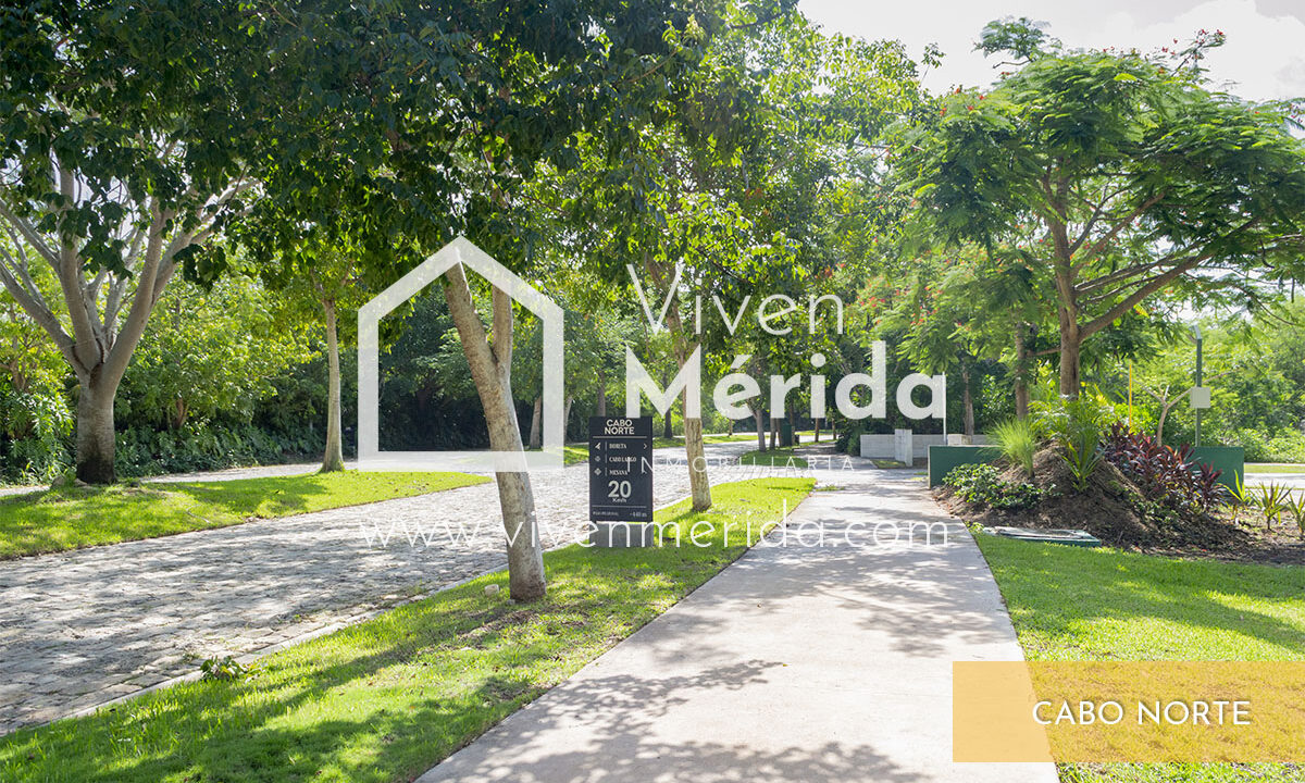 cabo-norte-merida-yucatan (10)