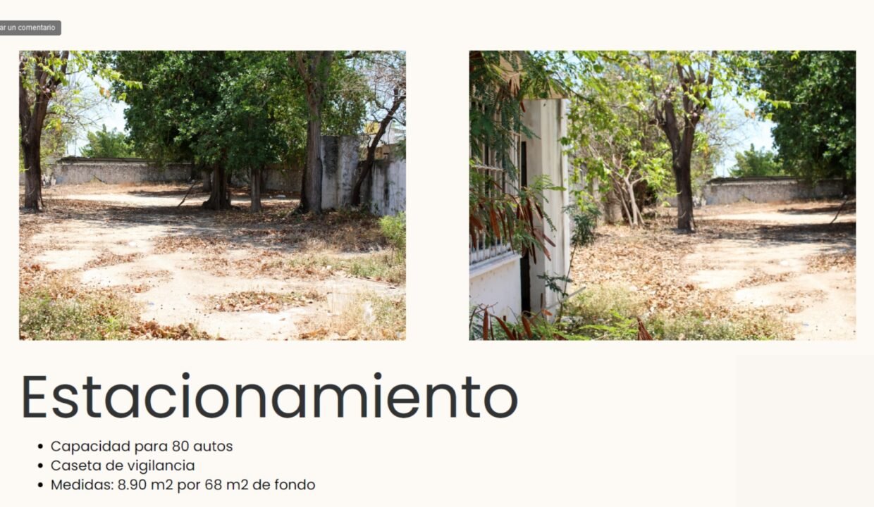 Terreno Paseo Montejo (3)