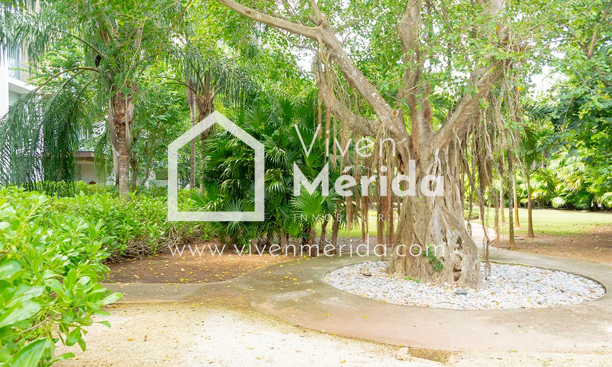 anthea-country-club-yucatan (13)
