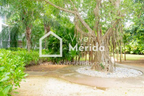 anthea-country-club-yucatan (13)