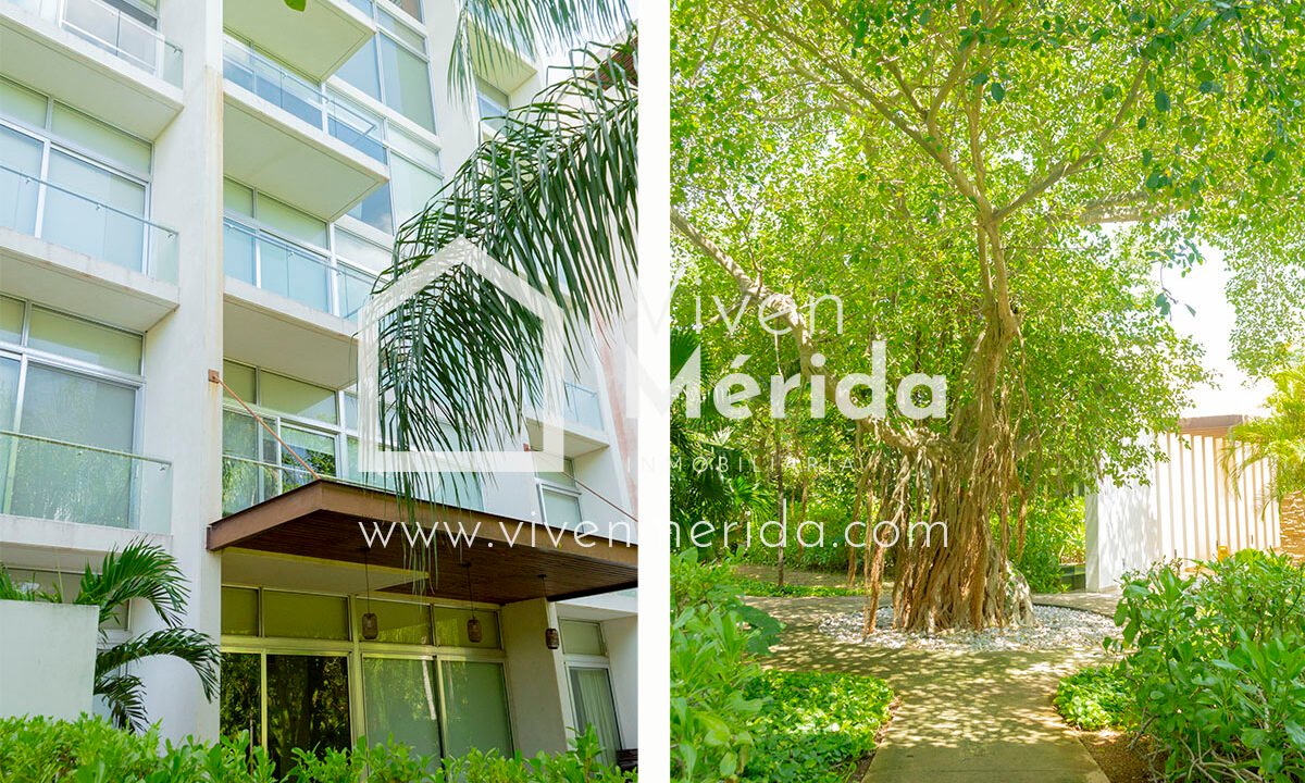 anthea-country-club-yucatan (14)