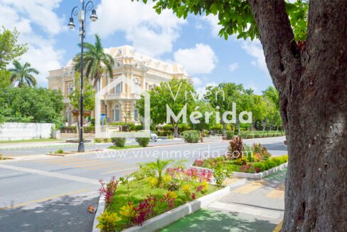 paseo-de-montejo-merida-yucatan (17)
