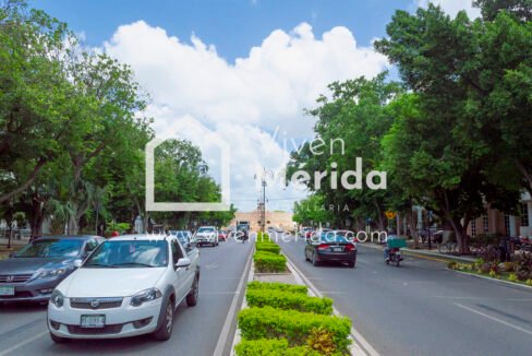 paseo-de-montejo-merida-yucatan (20)
