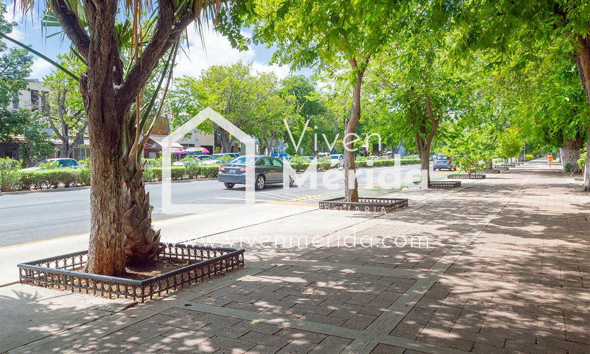 paseo-de-montejo-merida-yucatan (9)