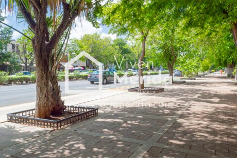 paseo-de-montejo-merida-yucatan (9)