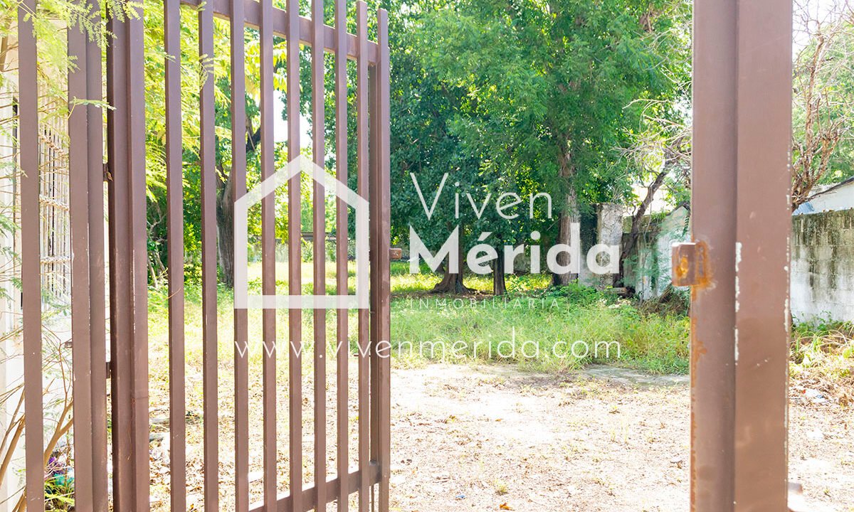 paseo-montejo-merida-yucatan (14)