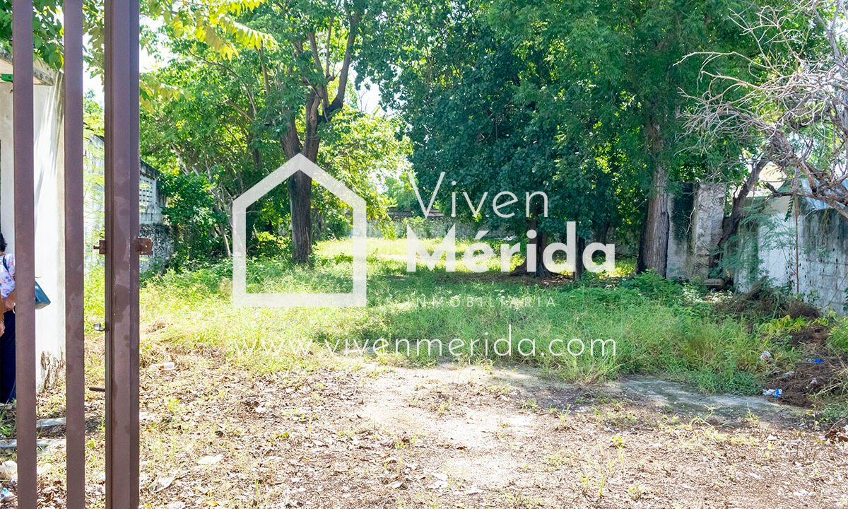 paseo-montejo-merida-yucatan (15)