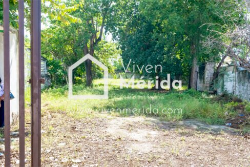 paseo-montejo-merida-yucatan (15)