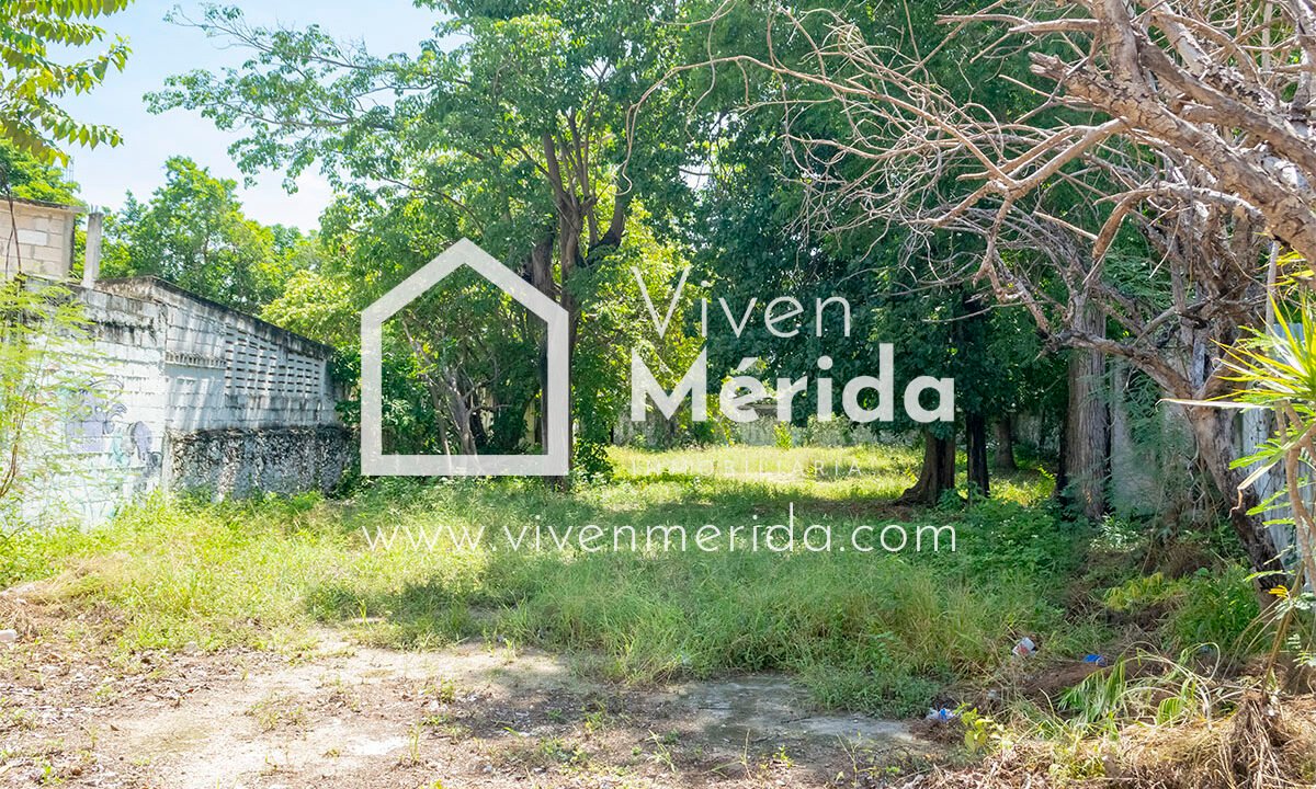 paseo-montejo-merida-yucatan (16)