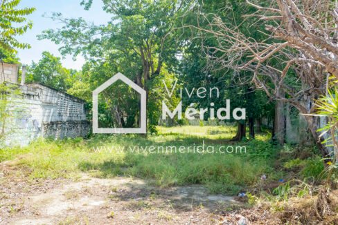 paseo-montejo-merida-yucatan (16)