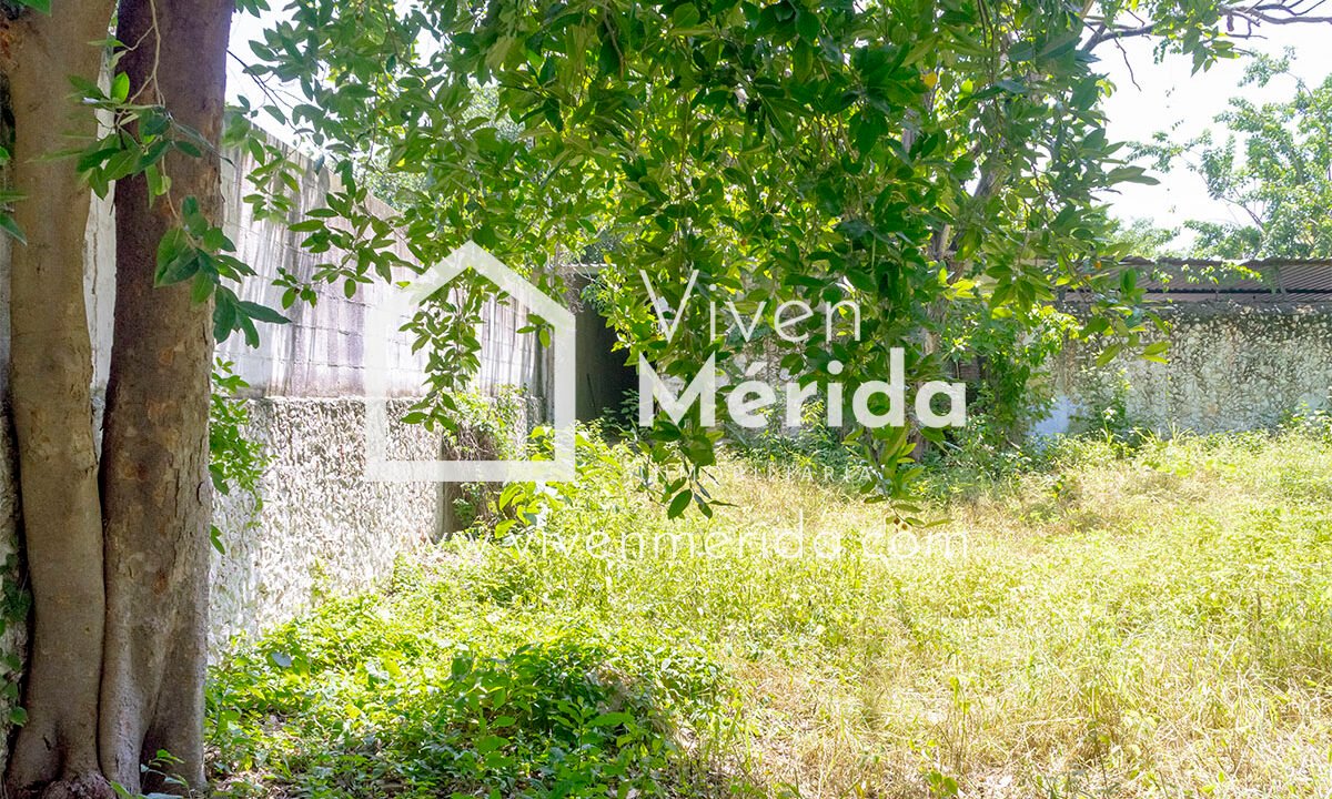 paseo-montejo-merida-yucatan (18)