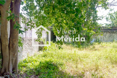 paseo-montejo-merida-yucatan (18)