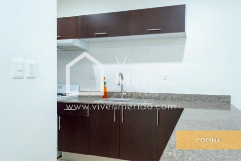 casa-en-renta-una-planta-gran-santa-fe (4)