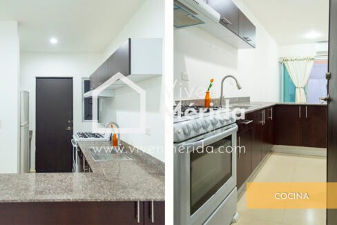 casa-en-renta-una-planta-gran-santa-fe (5)